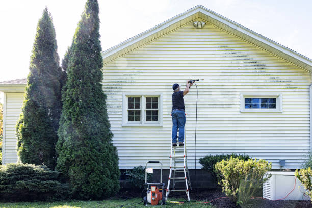 Deck Cleaning Services in Harrisville, WV